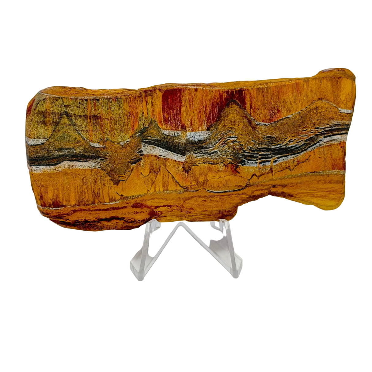 Œil de Tigre et Œil de Fer de Qualité A+ Tranche Scénique - Allongée