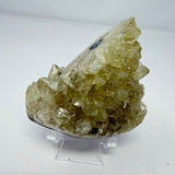 Polished Natural Citrine Crystal Stalactite Knobs on Lucite Stand
