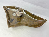 Triangular Ammonite & Orthoceras Fossil Bowl in Brown Seabed with Ammonite Feature