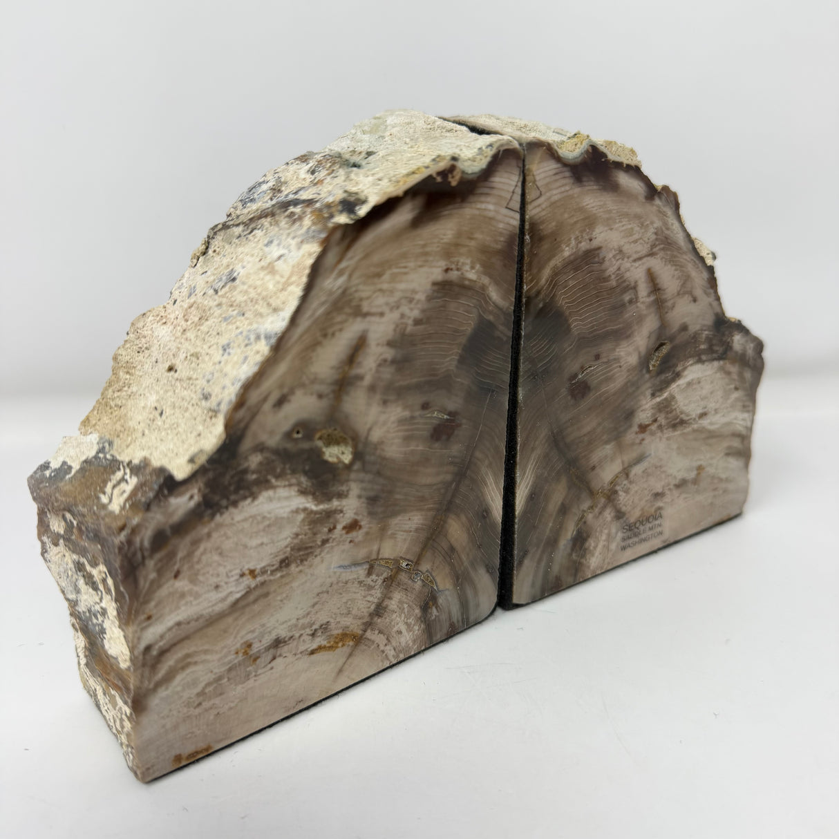 Saddle Mountain Sequoia Petrified Wood Bookends - Small