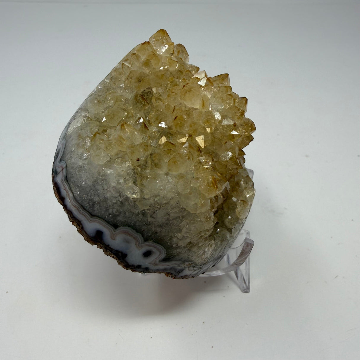 Polished Natural Citrine Crystal Stalactite Knobs on Lucite Stand