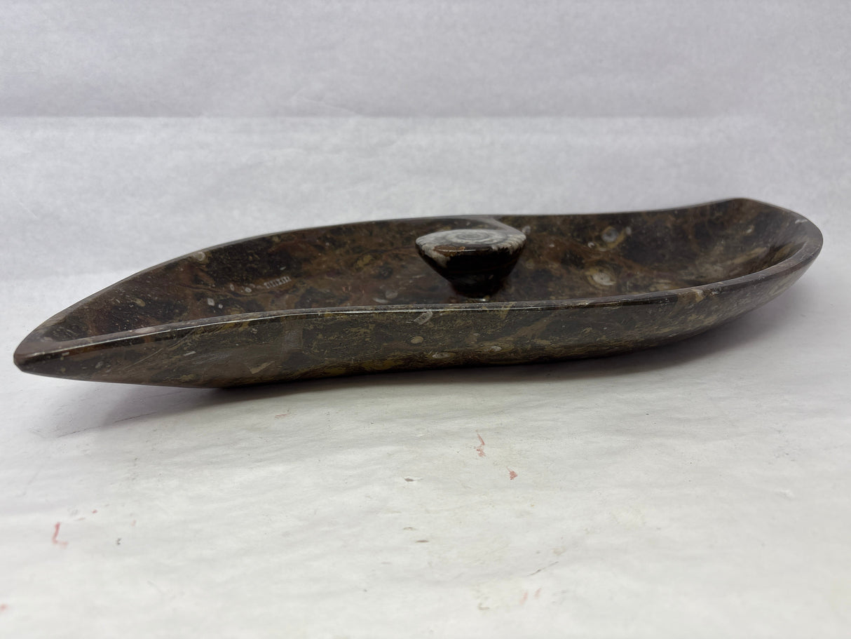 S-Shaped Ammonite & Orthoceras Fossil Bowl in Brown Seabed with Ammonite Feature