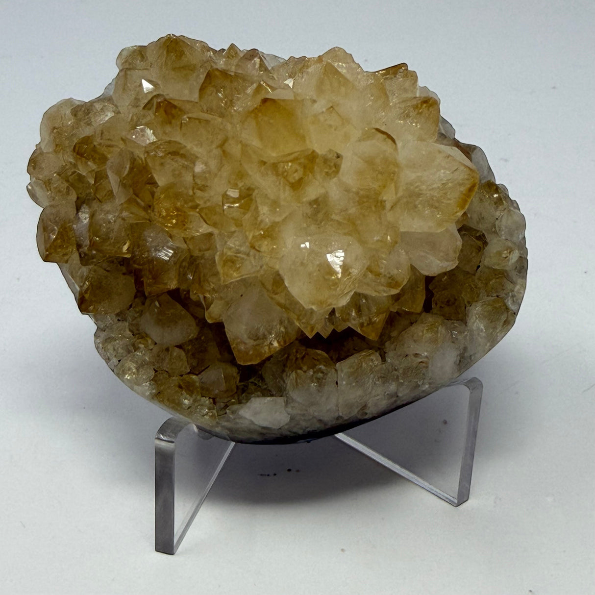 Polished Natural Citrine Crystal Stalactite Knobs on Lucite Stand