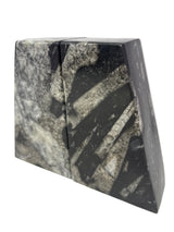 Ammonite and Orthoceras Fossil Bookends in Black Seabed - Trapezoid