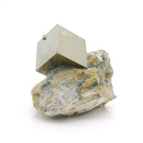 Pyrite cubique, grappe unique dans la matrice
