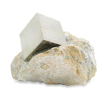 Pyrite cubique, grappe unique dans la matrice