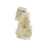 Pyrite cubique, grappe unique dans la matrice