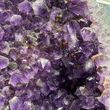 Dense field of amethyst points with rust-gold cacoxanite streaks beside the geode's pale agate rim