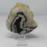 Polished Natural Citrine Crystal Stalactite Knobs on Lucite Stand