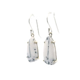 Dendritic Opal Dangle Earrings - Freeform Pear Prong Set
