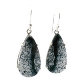 Dendritic Opal Dangle Earrings - Pear Prong Set with Black Vein