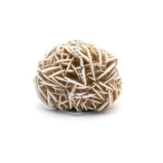 Desert rose bulb 1.5 inch on lucite stand, rounded sandy sphere ringed with white bladed rosettes, front view
