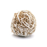 Desert Rose Bulb 1.5" on Lucite Stand