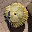 Overhead detail of spiny tips, rose carvings and a black streak around the fountain's drill hole