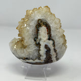 Polished Natural Citrine Crystal Stalactite Knobs on Lucite Stand