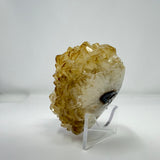 Polished Natural Citrine Crystal Stalactite Knobs on Lucite Stand