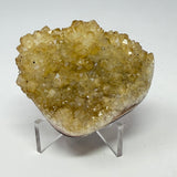 Polished Natural Citrine Crystal Stalactite Knobs on Lucite Stand