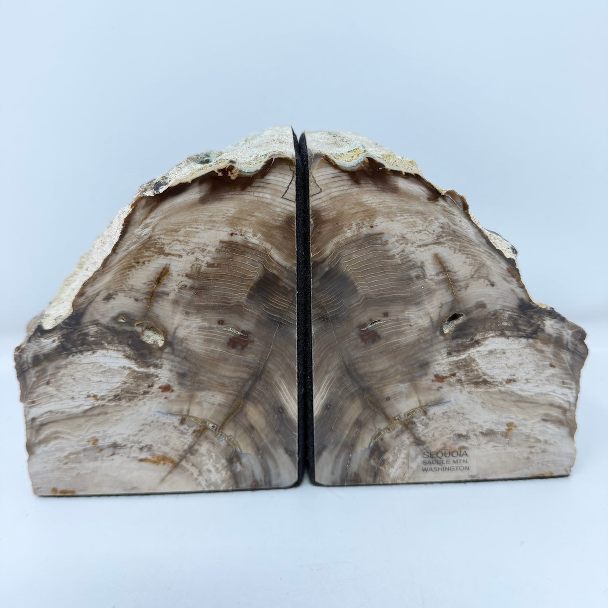 Saddle Mountain Sequoia Petrified Wood Bookends - Small