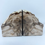 Saddle Mountain Sequoia Petrified Wood Bookends - Small