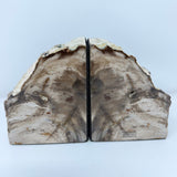 Saddle Mountain Sequoia Petrified Wood Bookends - Small