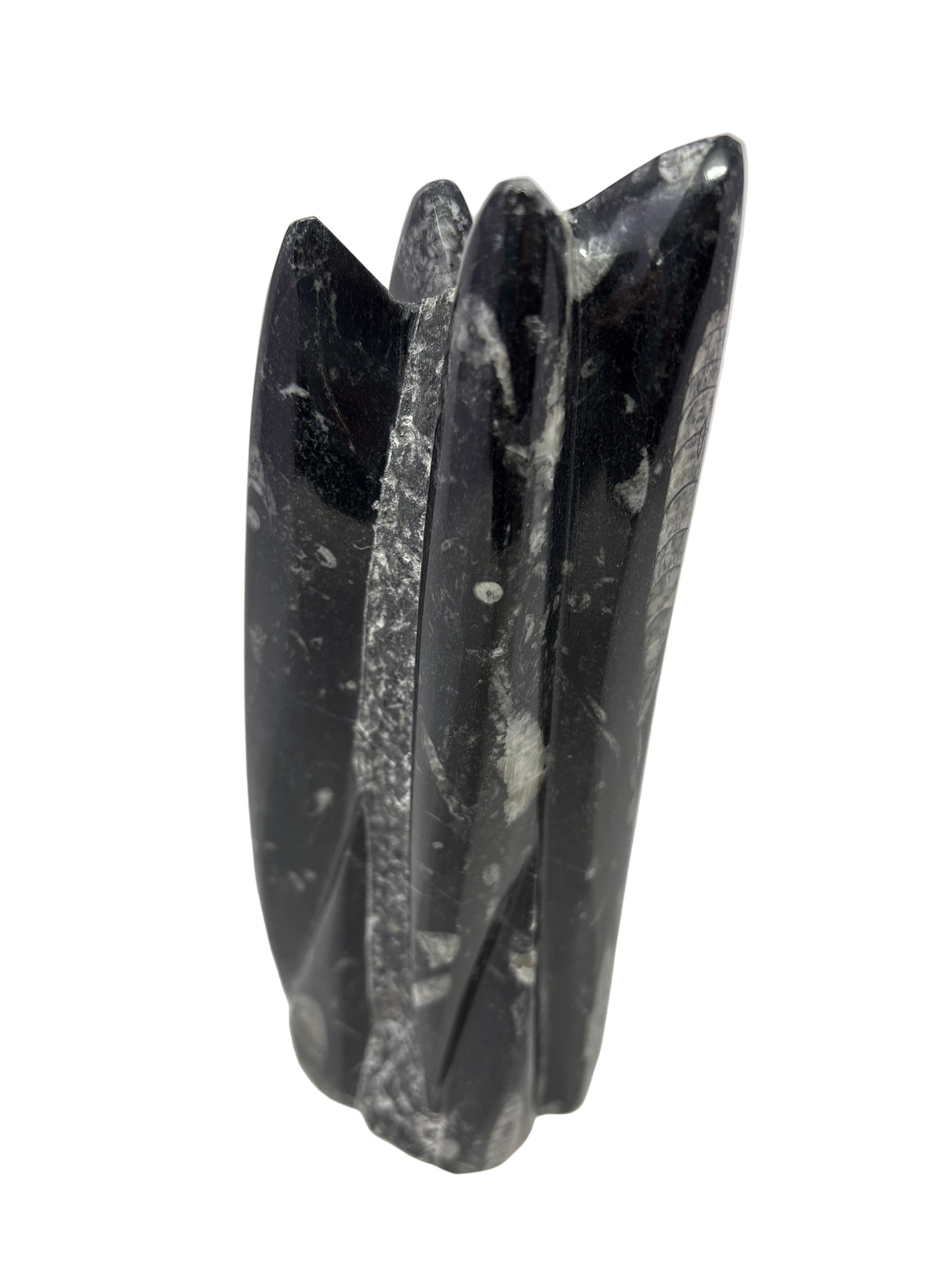 Orthoceras Fossil Sculpture with Self-Standing Base - Small