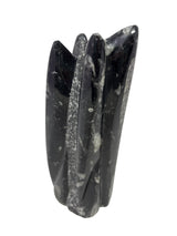Orthoceras Fossil Sculpture with Self-Standing Base - Small