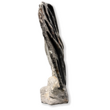 Orthoceras Plaque with Self-Standing Back