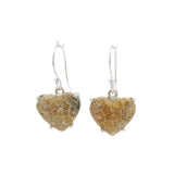 Distinctive Pattern Fossilized Coral Cabochon Dangle Earrings on French Wires