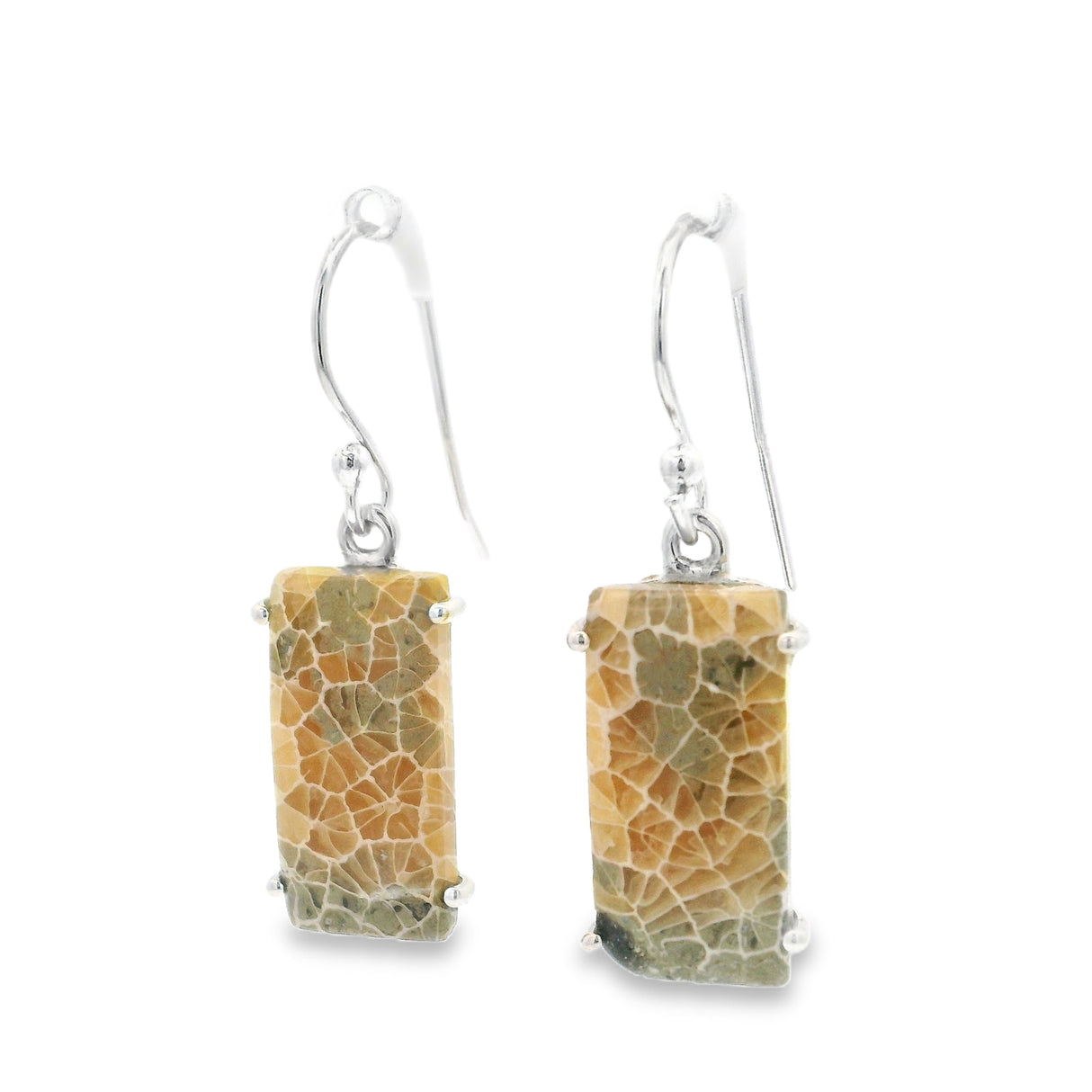 Distinctive Pattern Fossilized Coral Cabochon Dangle Earrings on French Wires