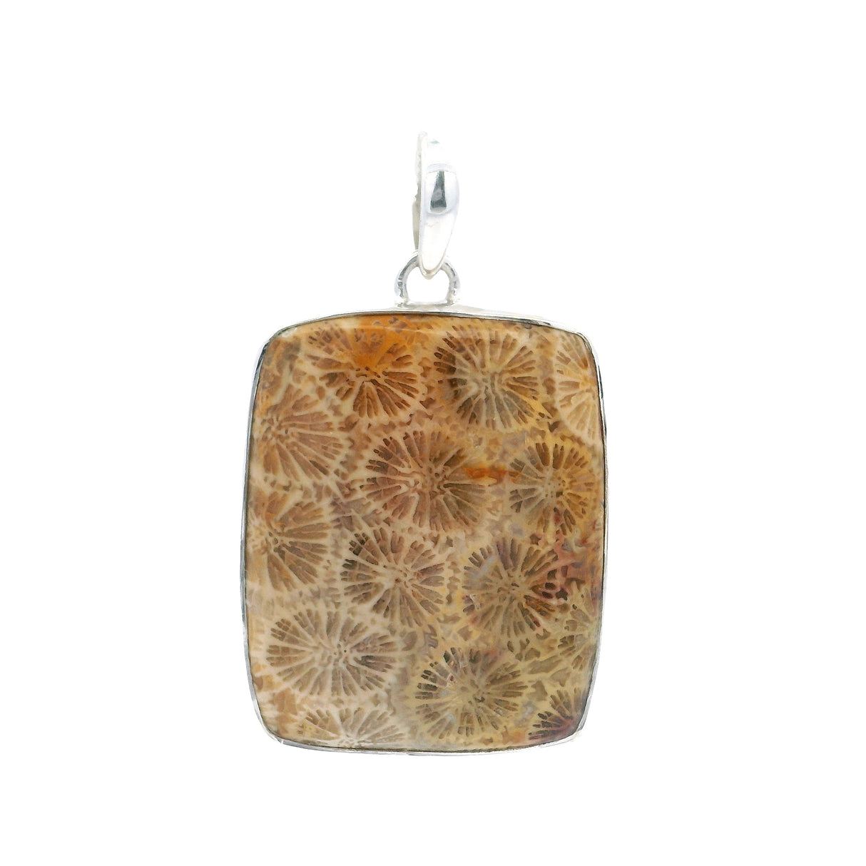 Cabochon Fossilized Coral Pendant - Rectangle (1.25") Simple Bezel Set