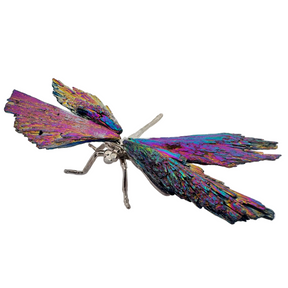 Rainbow titanium coated kyanite dragonfly with silver metal body, angled view