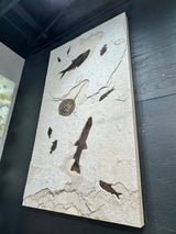 Stingray Fossil Mural Panel with Notogoneus & Knightia Fish Fossil Features - 4-way Mount