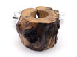 Tree stump lighted base in natural wood with hollowed center and white cord coiled behind