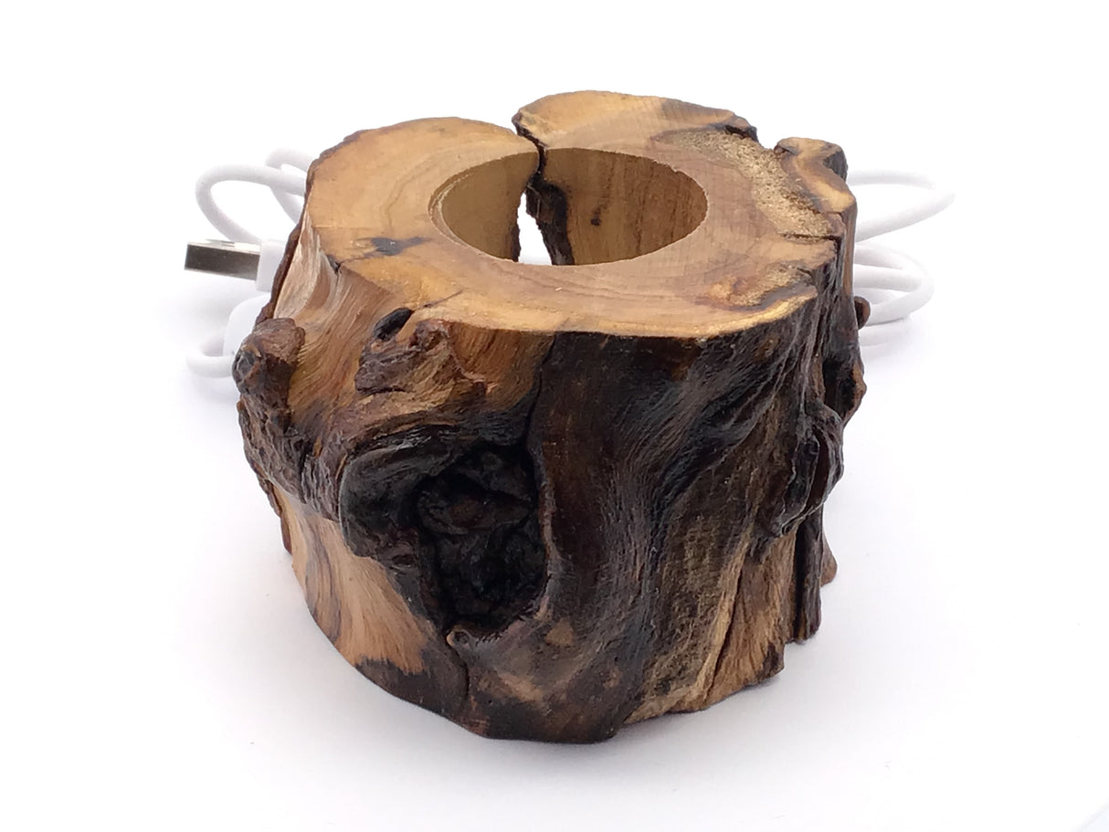 Tree stump lighted base in natural wood with hollowed center and white cord coiled behind