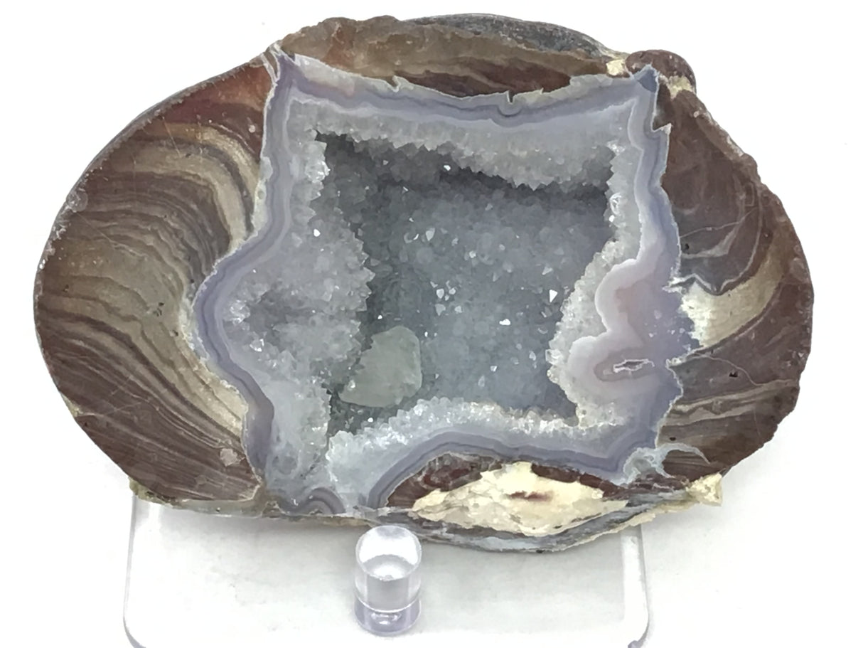 Dugway Druze Geode Half with Light Gray Crystal Cavern on Lucite Stand