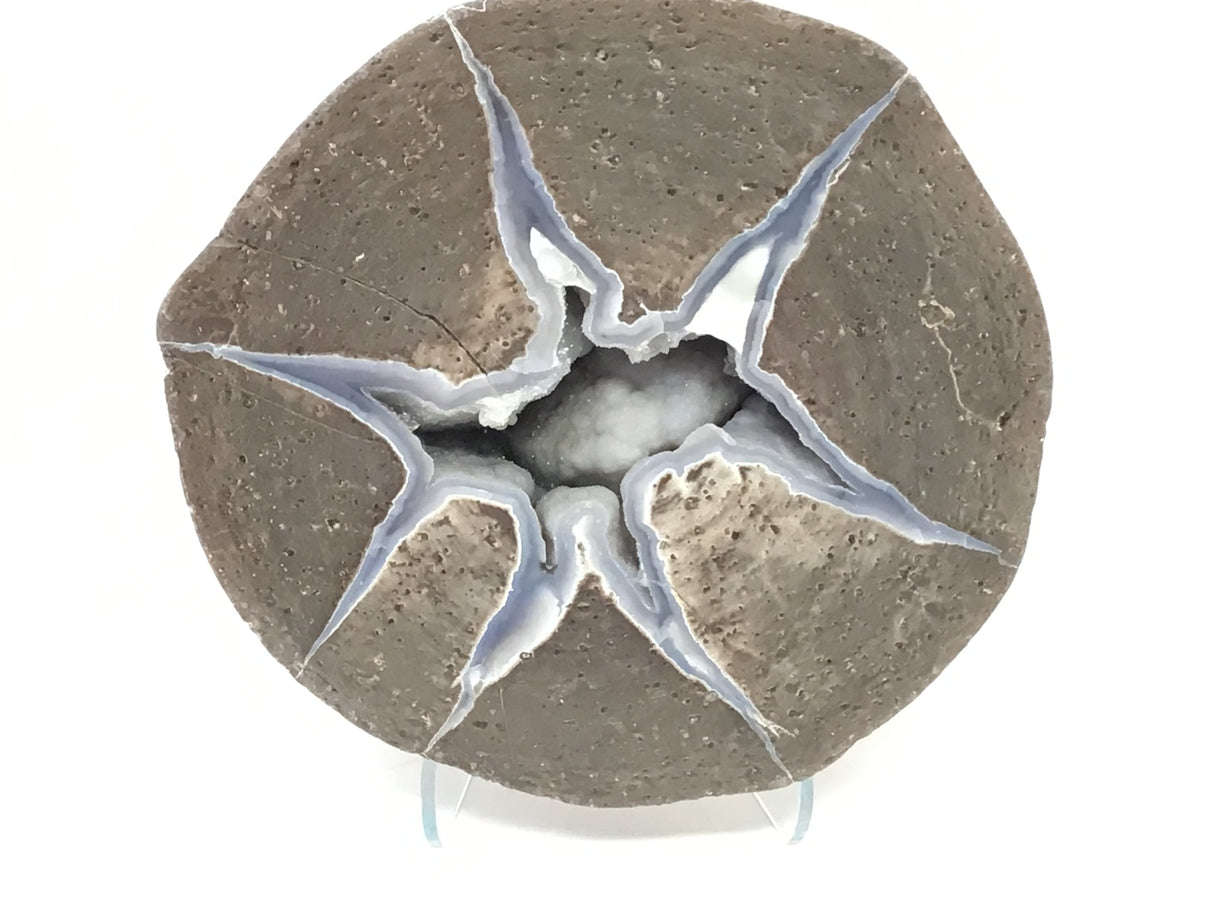 Dugway Druze Geode Half with 7 Spire Starburst on Lucite Stand