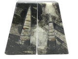 Orthoceras Fossil Bookends in Black Seabed - Trapezoid