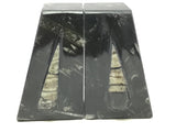 Orthoceras Fossil Bookends in Black Seabed - Trapezoid