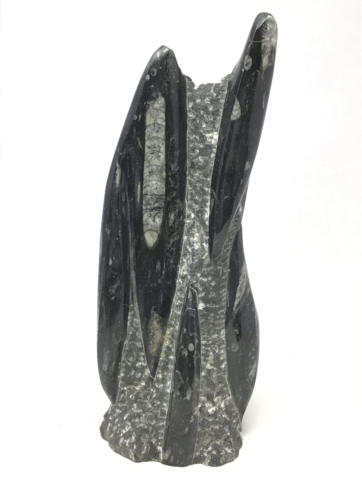 Orthoceras Fossil Sculpture with Self-Standing Base - Small