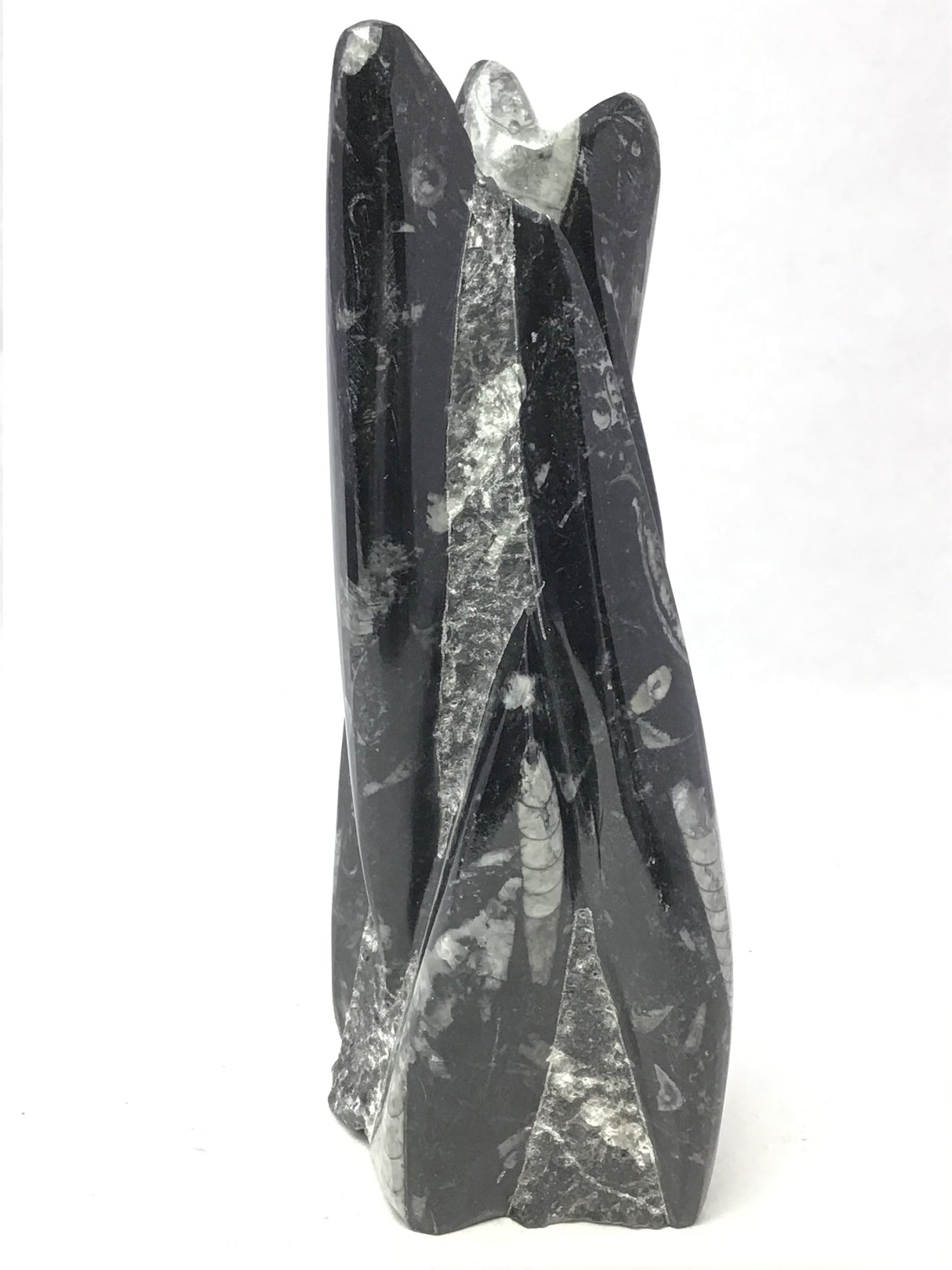 Orthoceras Fossil Sculpture with Self-Standing Base - Small