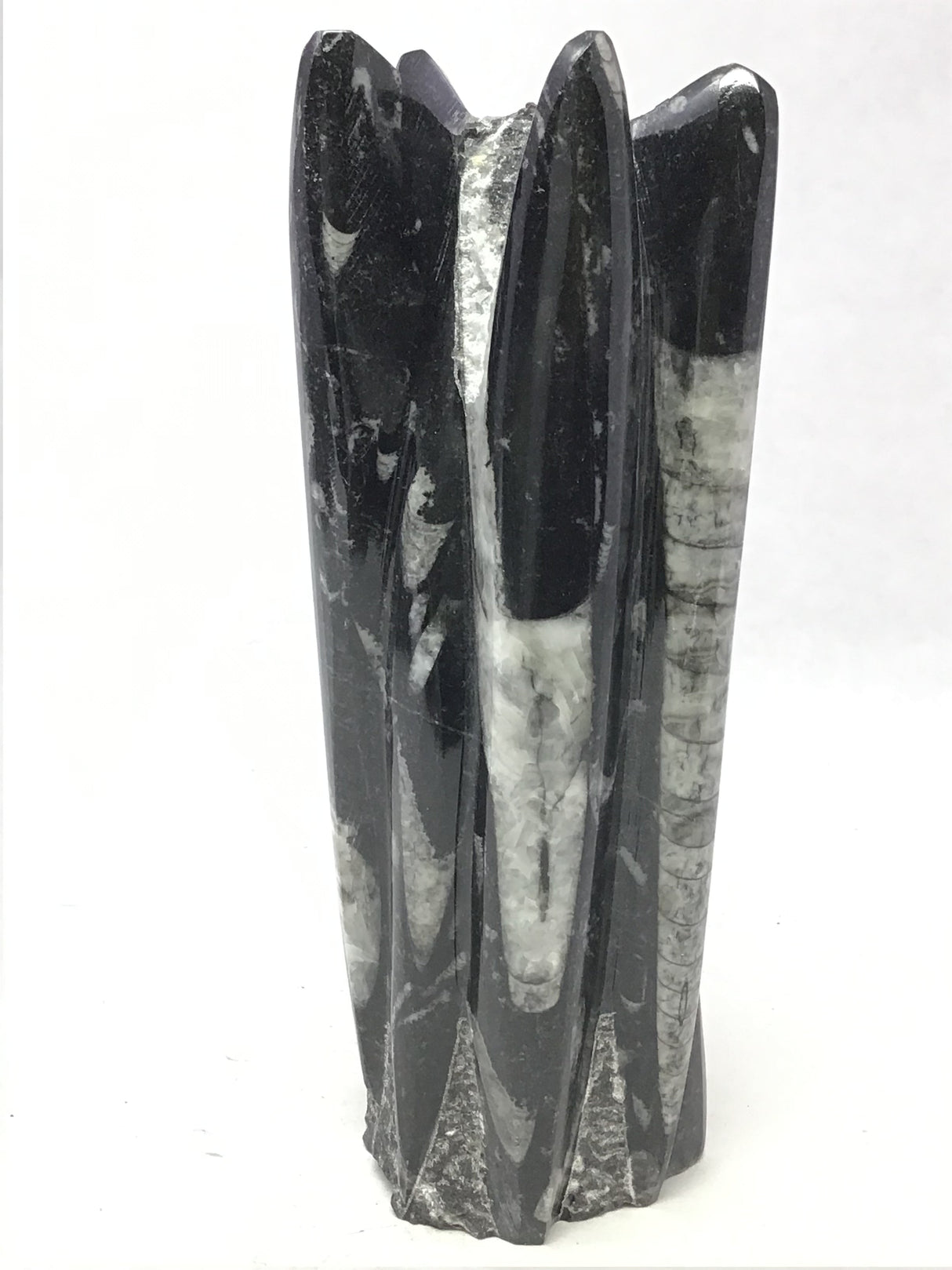 Orthoceras Fossil Sculpture with Self-Standing Base - Small