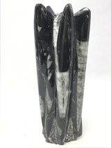 Orthoceras Fossil Sculpture with Self-Standing Base - Small