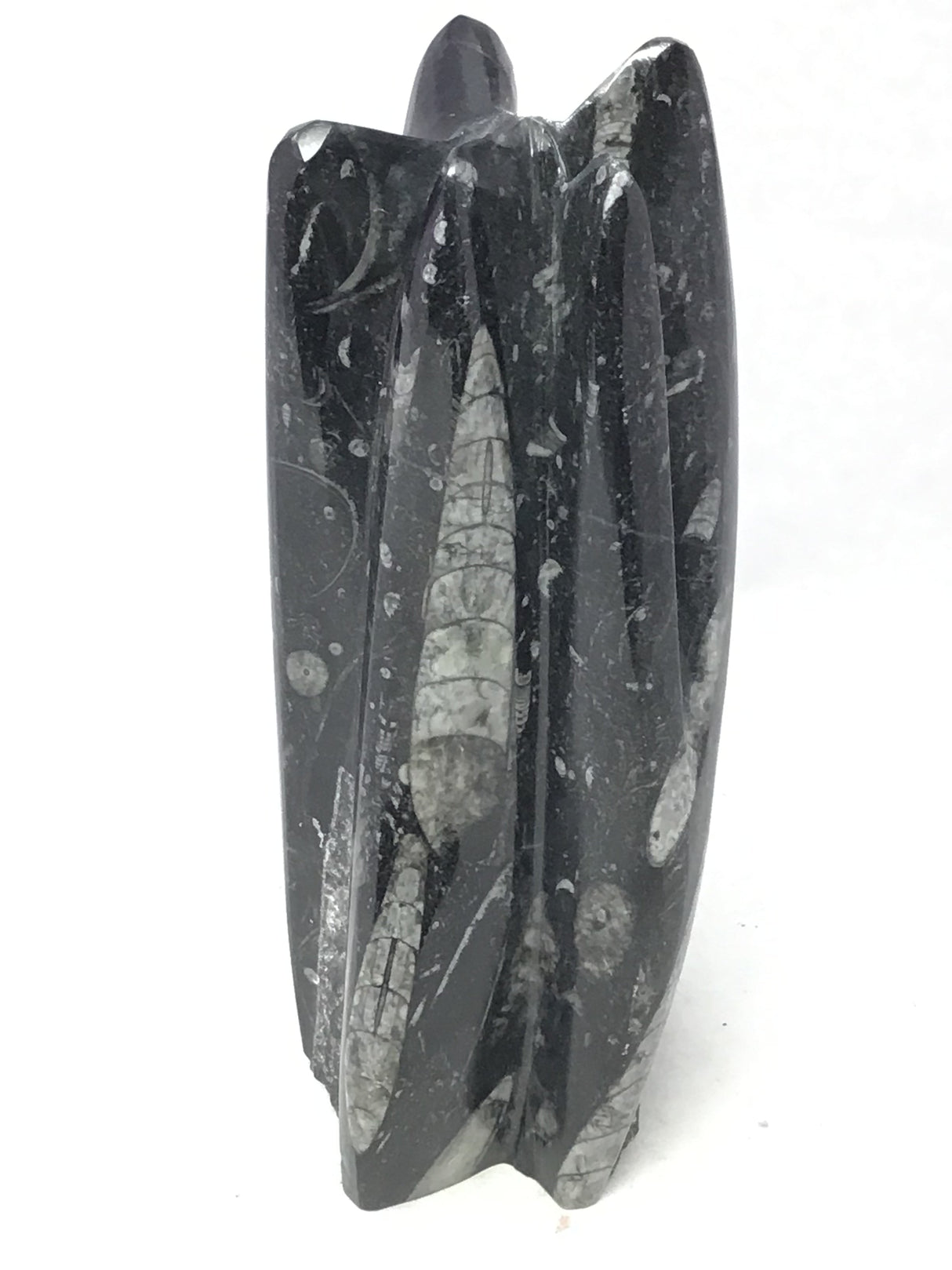 Orthoceras Fossil Sculpture with Self-Standing Base - Small