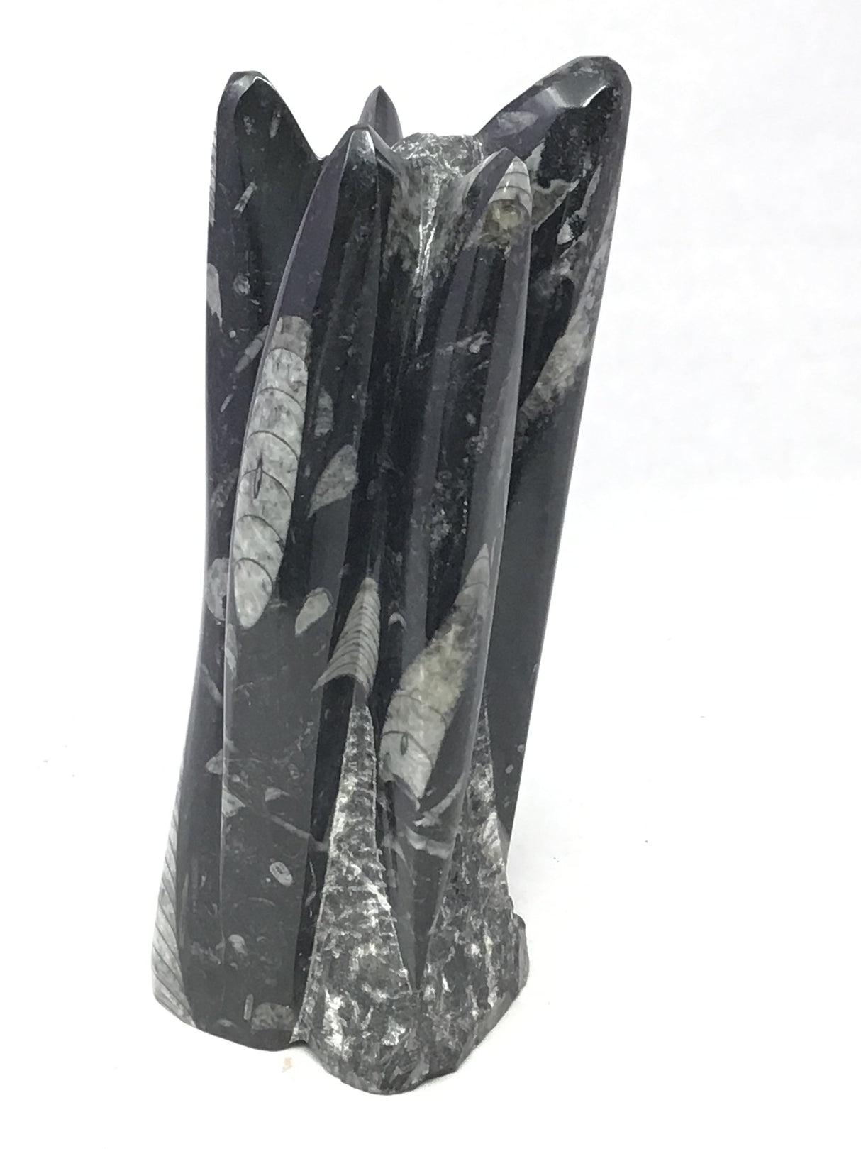 Orthoceras Fossil Sculpture with Self-Standing Base - Small