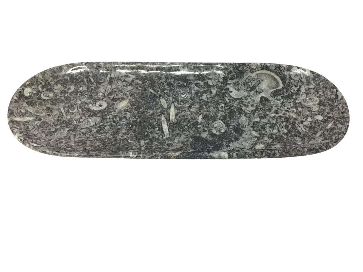 Orthoceras Fossil Long Oval Tray Dish