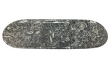 Orthoceras Fossil Long Oval Tray Dish