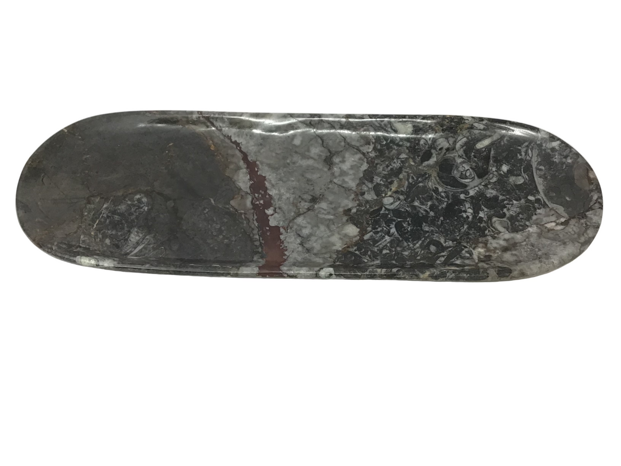 Orthoceras Fossil Long Oval Tray Dish
