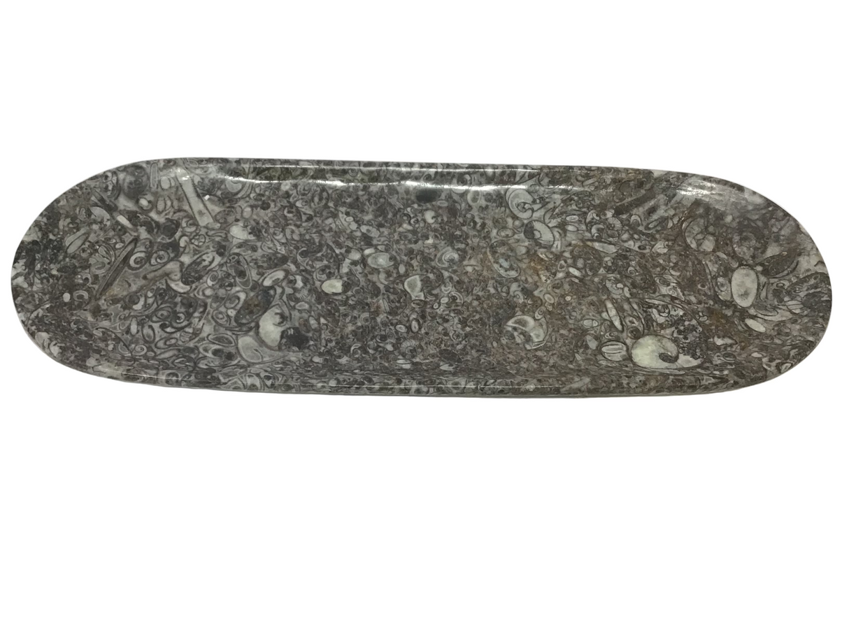 Orthoceras Fossil Long Oval Tray Dish