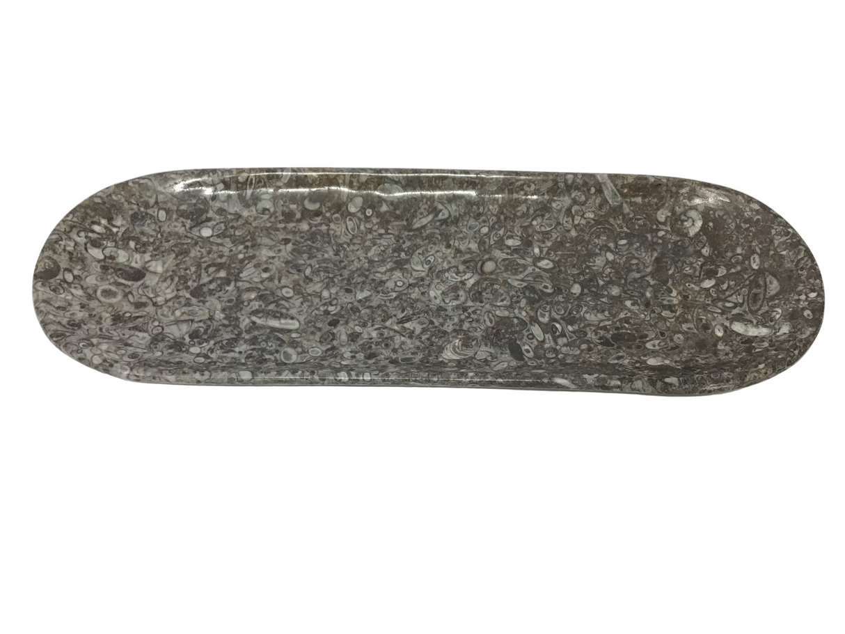 Orthoceras Fossil Long Oval Tray Dish