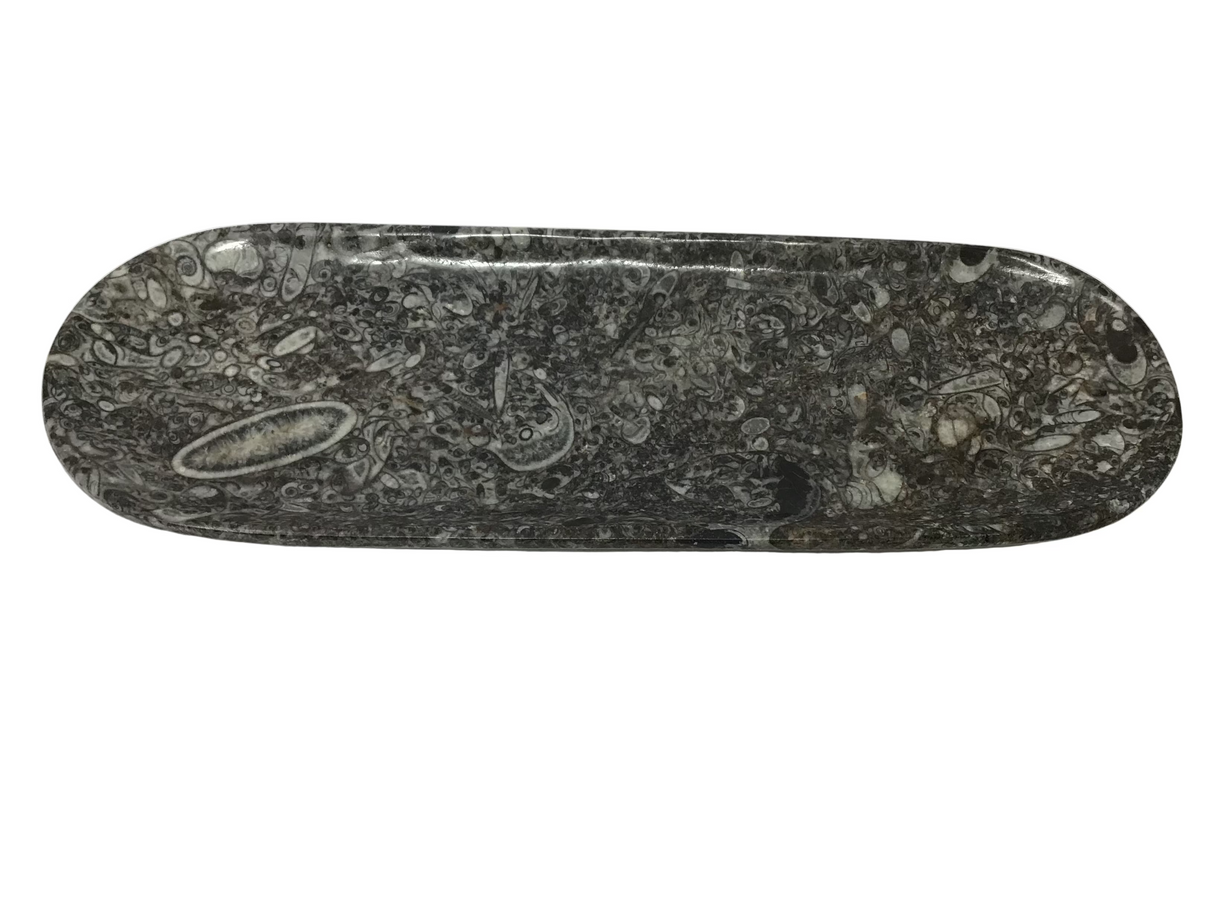 Orthoceras Fossil Long Oval Tray Dish